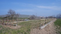 Balıkesir Kepsut Eğitim ve Gençlik Kampı